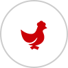 sp03